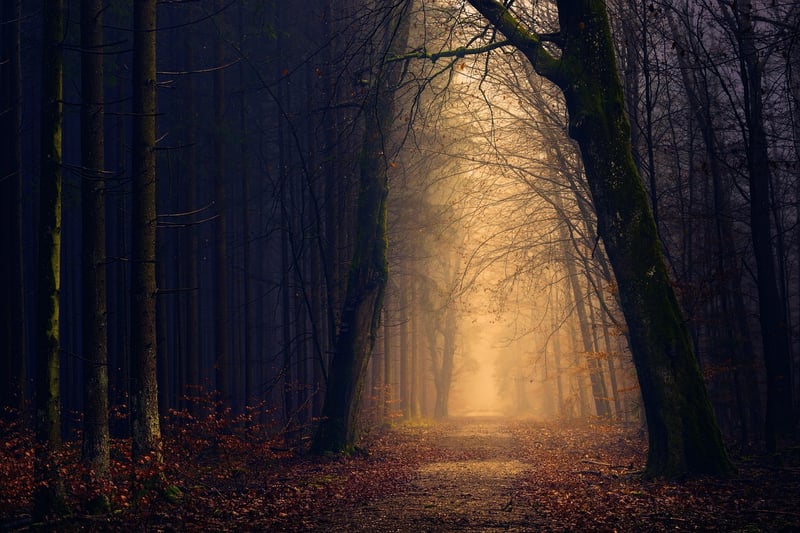 Silent Mystery